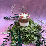 Raspberry - Medium Soy Candles with Raspberry's